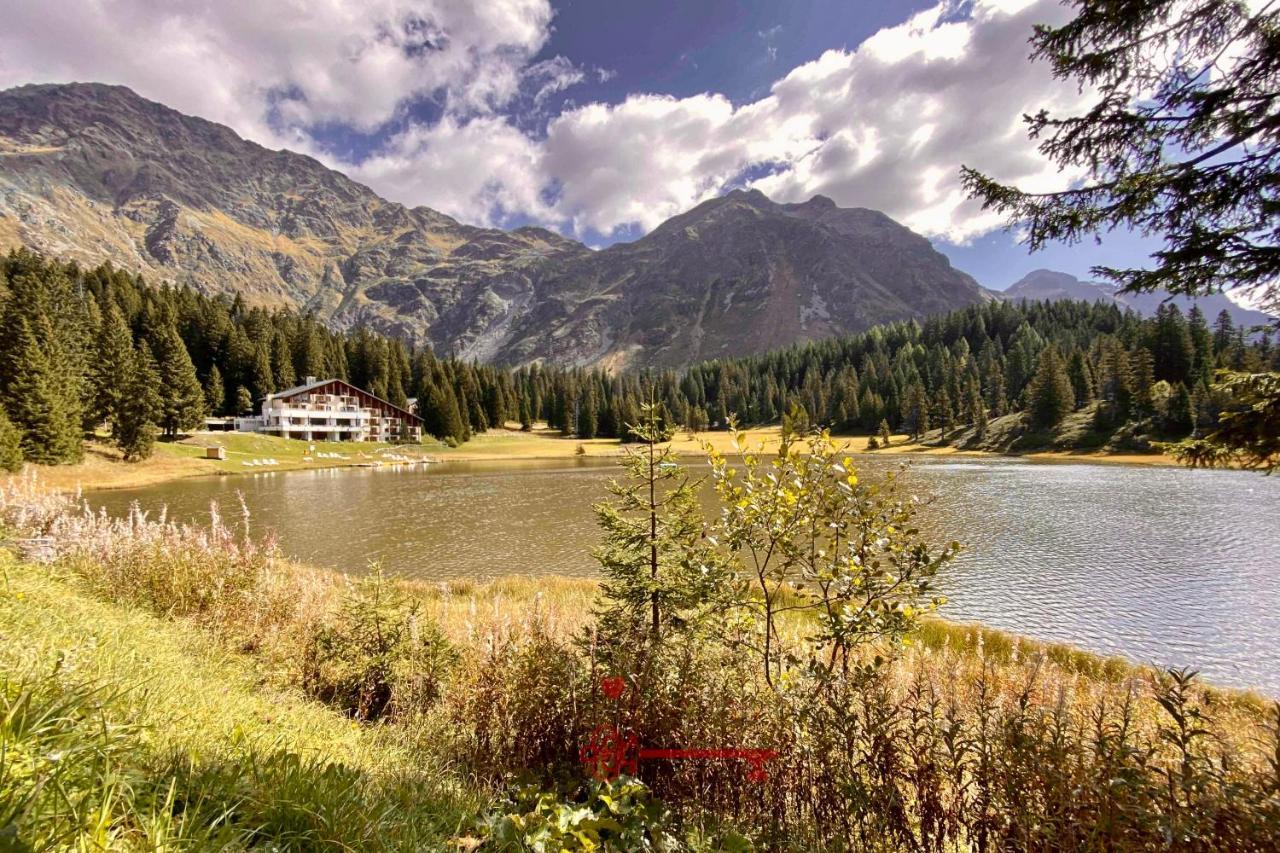 Chalet 5 Stars In San Bernardino, Ski Slopes And Hiking, Fireplace, 4 Snowtubes Free, Wi-Fi Free, For 8 Persons, Wonderful In All Seasons -By Easylife Swiss Exterior photo